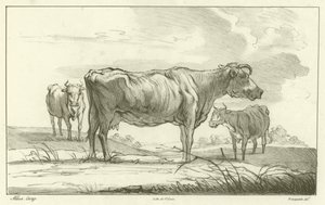 Trois vaches